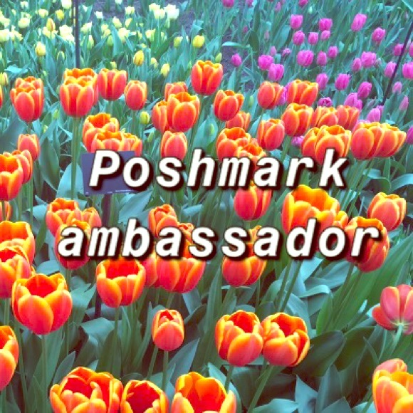 Posh Ambassador -Top Rated, Ships Fast, Top Sharer - Picture 10 of 10